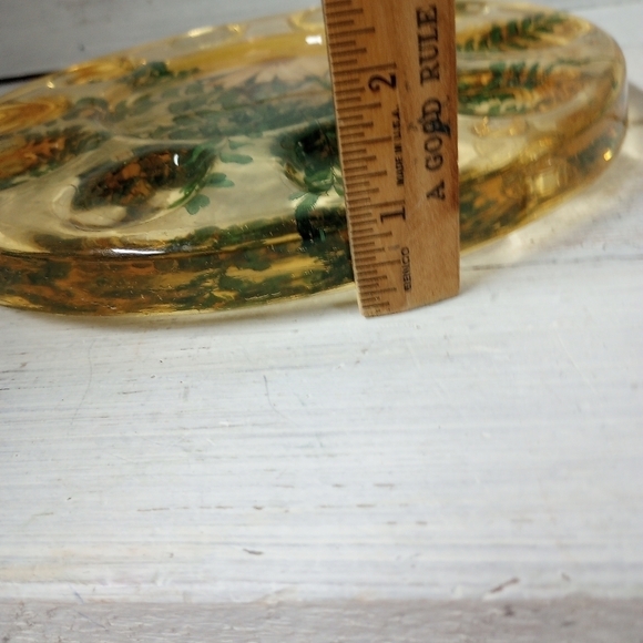 Round Acrylic Resin Egg Plate with Pressed Ferns, Daisy and Butterfly by Design - Picture 9 of 9